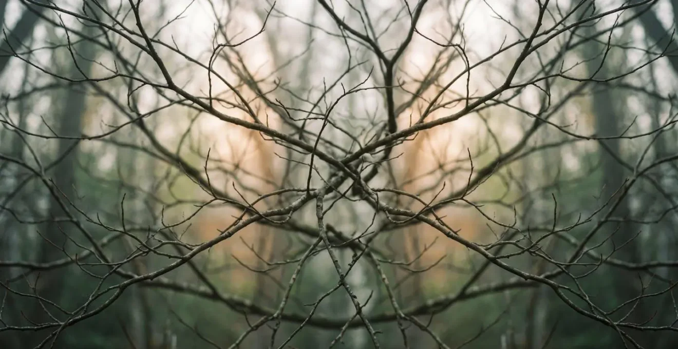 Abstract symbolic representation of neural networks and cognitive awareness through natural forms and light