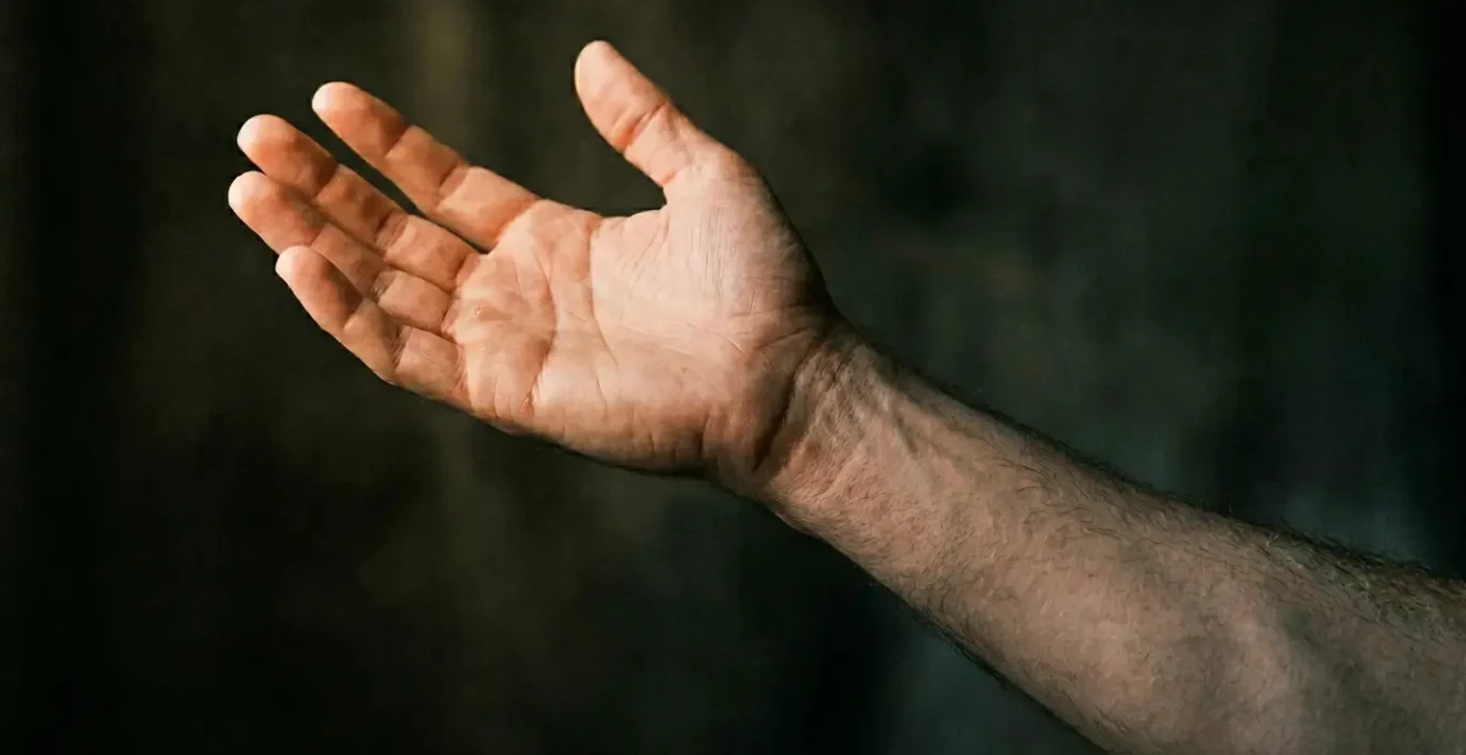 Visual representation of nervous system regulation and stress recovery process