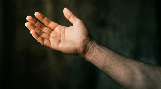 Visual representation of nervous system regulation and stress recovery process