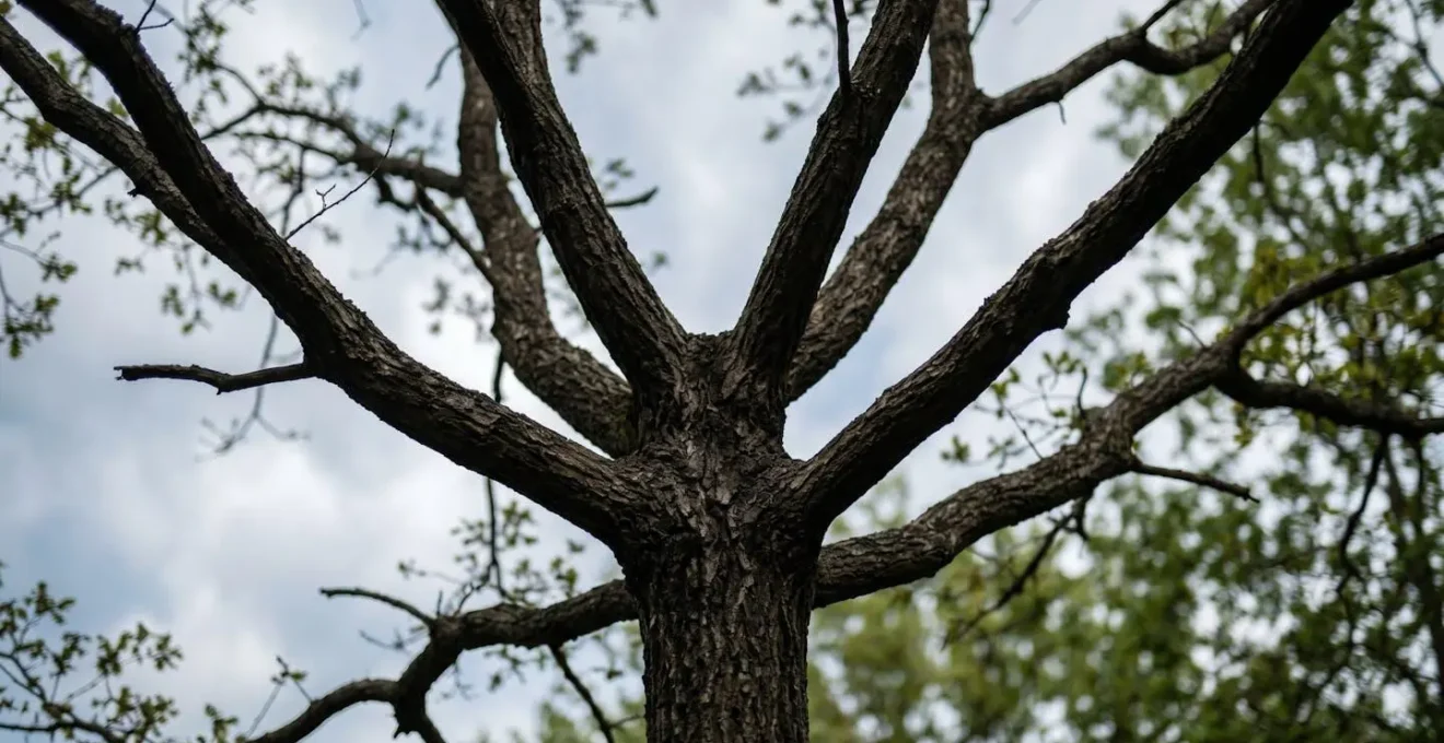 Multiple diverging pathways visualized through branching natural patterns symbolizing creative problem-solving strategies