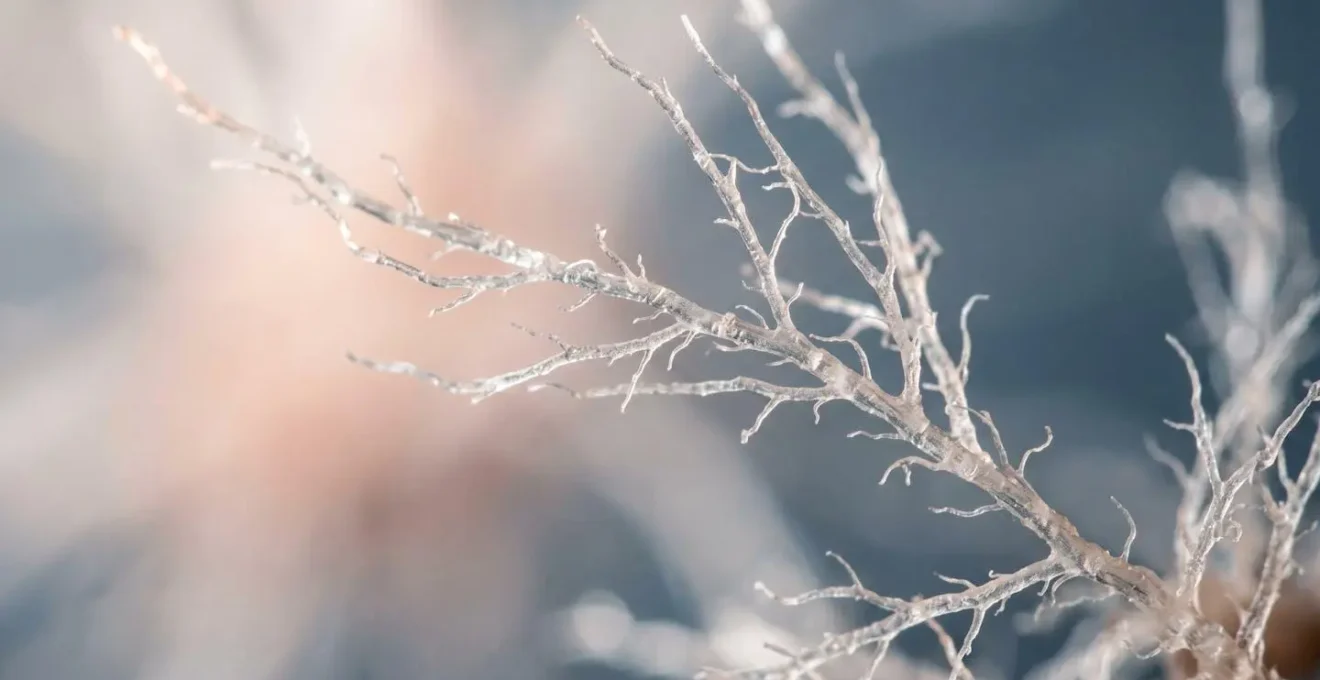 Macro detail of organic branching structures representing vagal nerve pathways and parasympathetic regulation